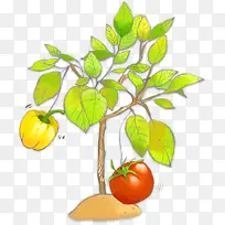 绿色手绘蔬菜植物青椒-空若网 绿色手绘蔬菜植物青椒-空若网