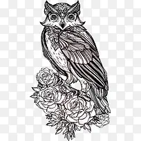 手绘猫头鹰-空若网 手绘猫头鹰-空若网