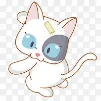 可爱猫咪-空若网 可爱猫咪-空若网