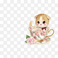 ��ͨ�ֻ�è-������