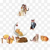 卡通猫-空若网 卡通猫-空若网