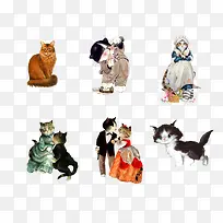 卡通猫-空若网 卡通猫-空若网