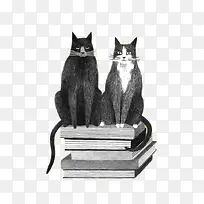 �ֻ�����è-������