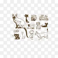 卡通猫-空若网 卡通猫-空若网