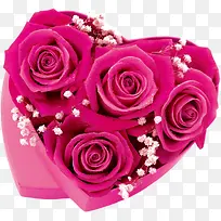 玫粉绽放玫瑰爱心-空若网 玫粉绽放玫瑰爱心-空若网