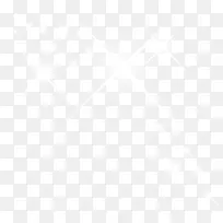 白色绽放的星光-空若网 白色绽放的星光-空若网