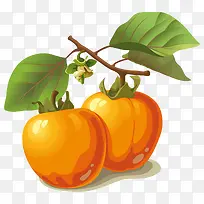 柿子-空若网 柿子-空若网