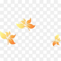 花-空若网 花-空若网