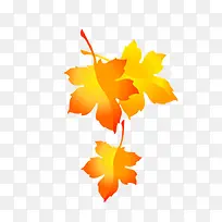 叶子-空若网 叶子-空若网