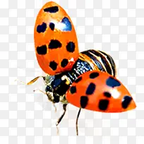 ����-������