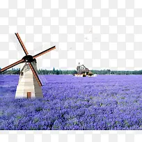 �糵޹�²ݻ����زı���-������