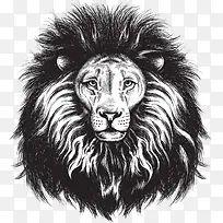 手绘狮子头-空若网 手绘狮子头-空若网