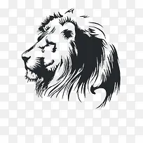 手绘狮子头-空若网 手绘狮子头-空若网