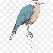 �ֻ���-������