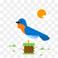 鸟-空若网 鸟-空若网