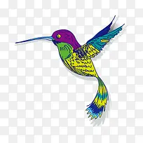 手绘鸟-空若网 手绘鸟-空若网