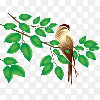 矢量手绘鸟-空若网 矢量手绘鸟-空若网