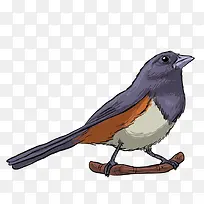 �ֻ���-������