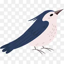卡通鸟PNG下载-空若网 卡通鸟PNG下载-空若网