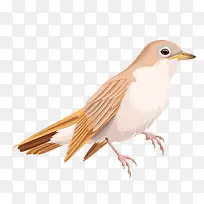 卡通鸟PNG下载-空若网 卡通鸟PNG下载-空若网