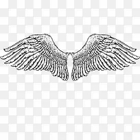 翅膀-空若网 翅膀-空若网