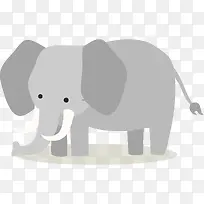 动物-空若网 动物-空若网