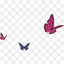 手绘漫画彩色大象-空若网 手绘漫画彩色大象-空若网