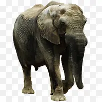 ������޶���-������