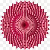 ������-����-������