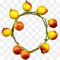 水果花环绿色花环-空若网 水果花环绿色花环-空若网