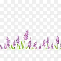 ޹�²ݿ�ͨ�ֻ汳���ز�-������