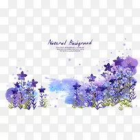 ��ɫˮ��޹�²ݻ����ز�-������