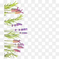 ��Ҷ޹�²��زı���-������