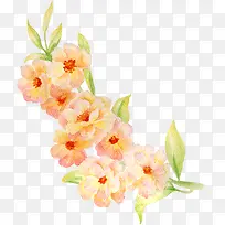 �ֻ滨�ܻ�ɴ��Ӱ-������