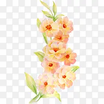 �ֻ滨�ܻ�ɴ��ӰͼƬ-������