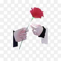 手绘玫瑰花双手-空若网 手绘玫瑰花双手-空若网