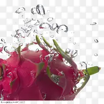 水果素材-空若网 水果素材-空若网