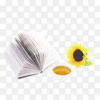 �鱭�����տ�-������