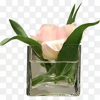 杯子 花 装饰-空若网 杯子 花 装饰-空若网