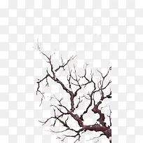 雪天的树枝手绘-空若网 雪天的树枝手绘-空若网