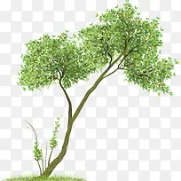 ×°ÊÎÊ÷PNGͼƬ01-¿ÕÈôÍø ×°ÊÎÊ÷PNGͼƬ01-¿ÕÈôÍø