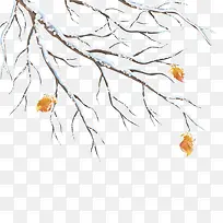 ��֦��ѩ���ֻ棬ʥ��-������