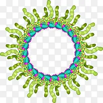 ����Բ��-������