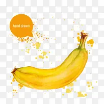 水彩香蕉-空若网 水彩香蕉-空若网