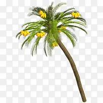 Ò»¿ÃÏã½¶Ê÷-¿ÕÈôÍø Ò»¿ÃÏã½¶Ê÷-¿ÕÈôÍø