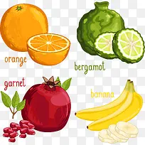 水果-空若网 水果-空若网