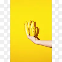 ��ָ�ϵ��㽶��������-������