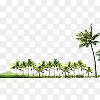 香蕉树远山树林-空若网 香蕉树远山树林-空若网