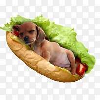 创意热狗汉堡-空若网 创意热狗汉堡-空若网