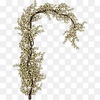 ºÍ·çìøÒâÊ÷Ö¦-¿ÕÈôÍø ºÍ·çìøÒâÊ÷Ö¦-¿ÕÈôÍø